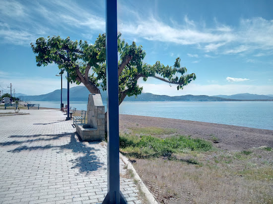 Achladi beach