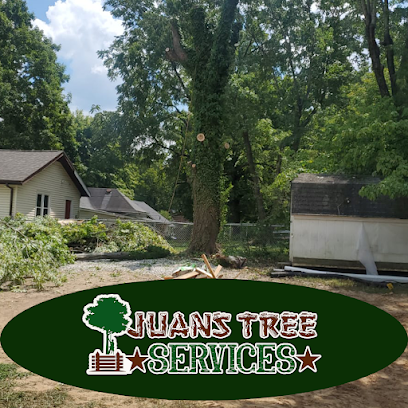 Juan tree service sylvis st dickson tn