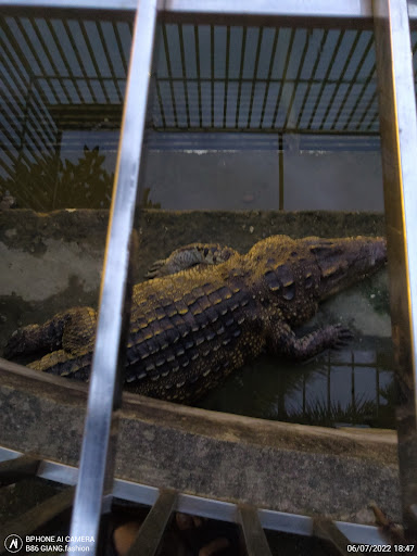 Top 20 cửa hàng mai Thị xã Sơn Tây Hà Nội 2022