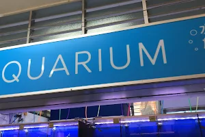 Baby Fish Aquarium image