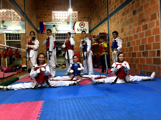 Taekwondo lessons Bucaramanga