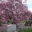 Machpelah Cemetery