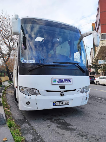 Abana Bozkurt Seyahat
