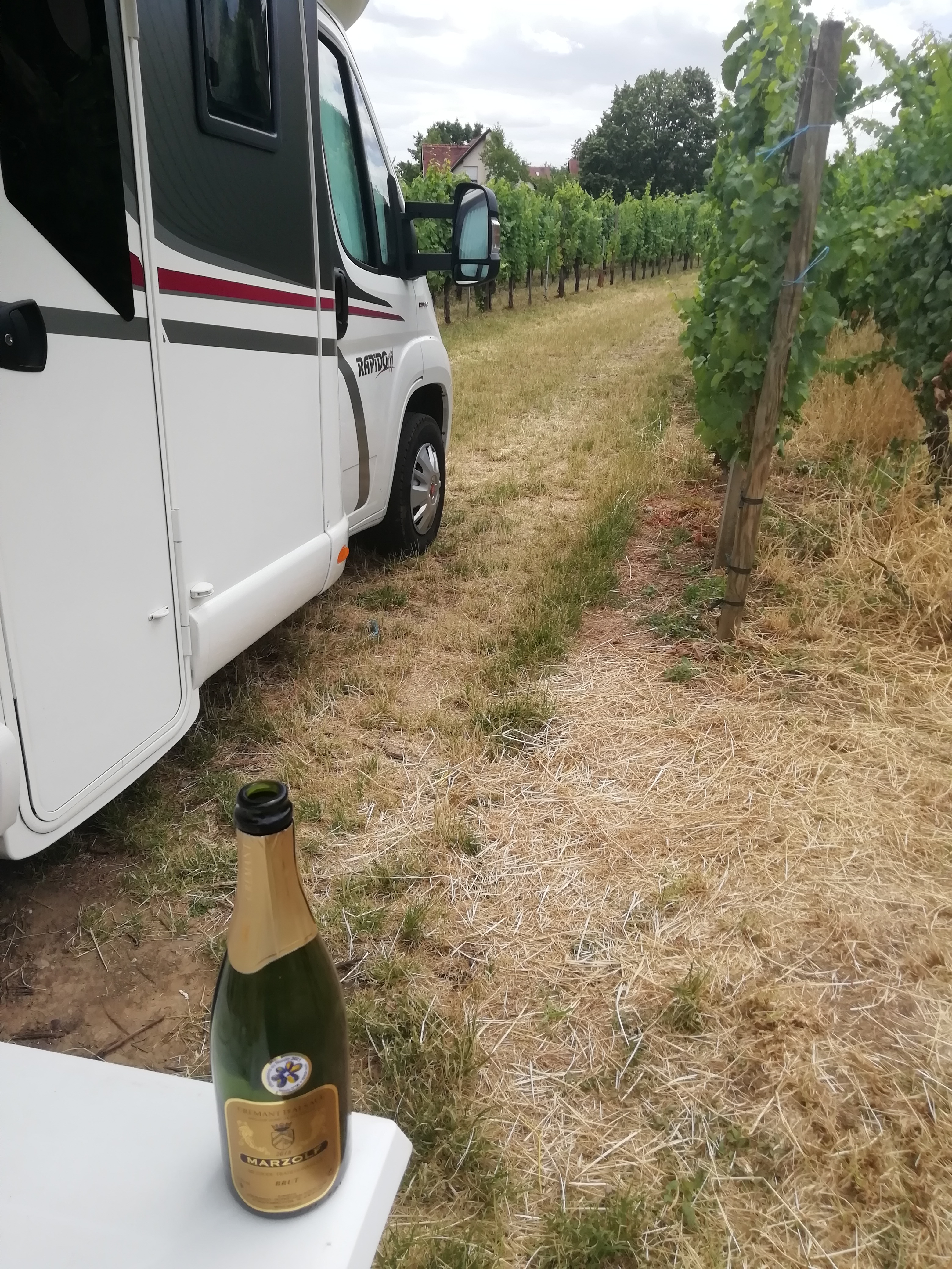 Photo n° 1 de l'avis de Pierre-Yves.E fait le 03/07/2023 à 12:02