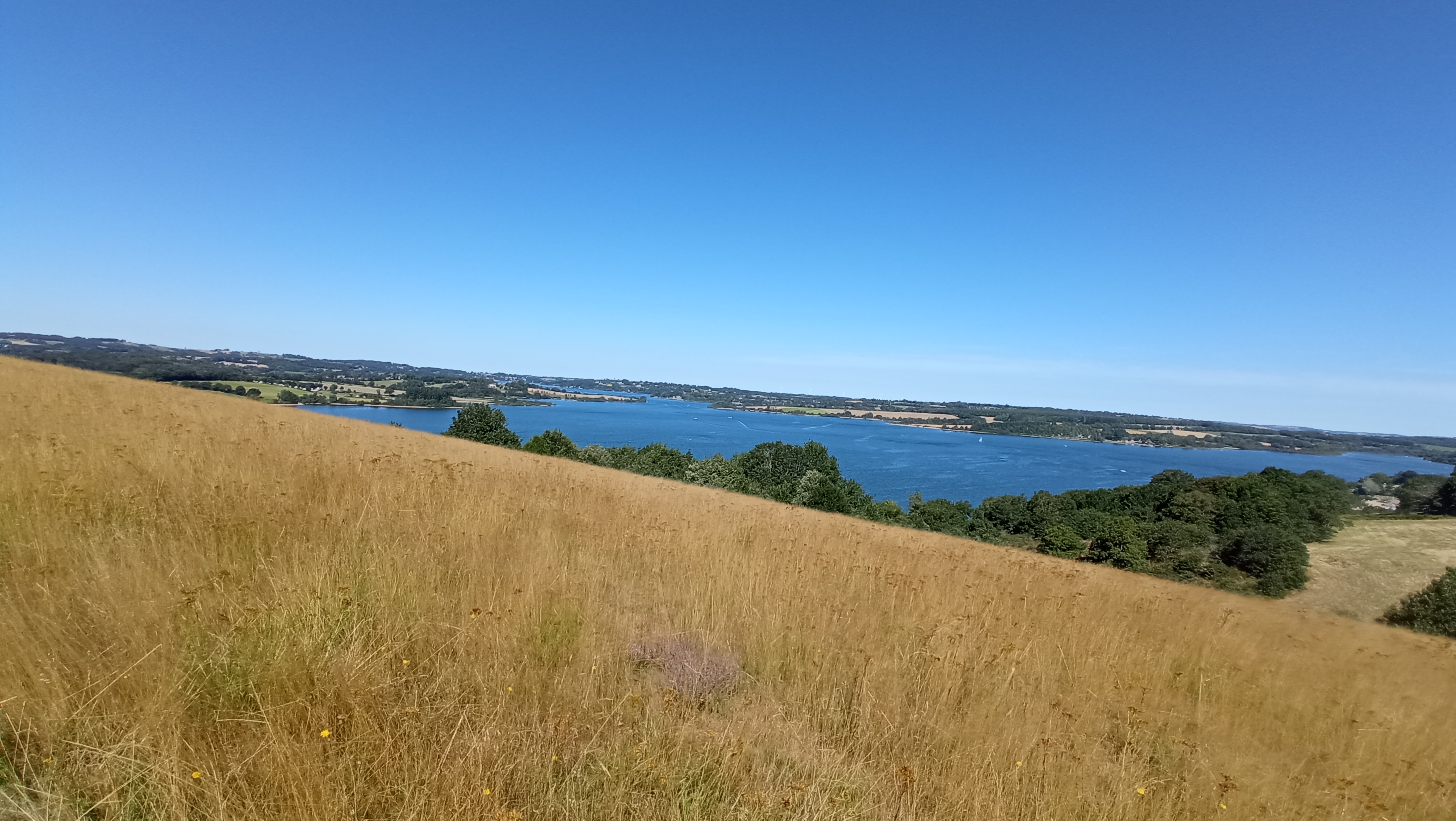 Photo n° 2 de l'avis de Thaorus.6 fait le 08/08/2023 à 17:20