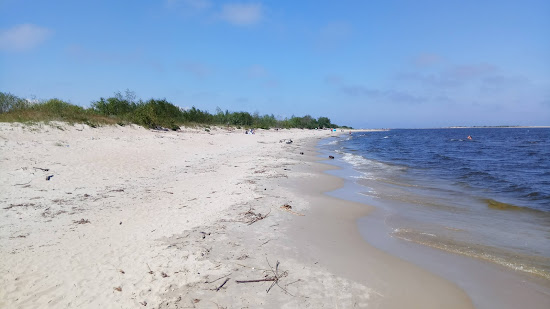 Mikoszewo Beach