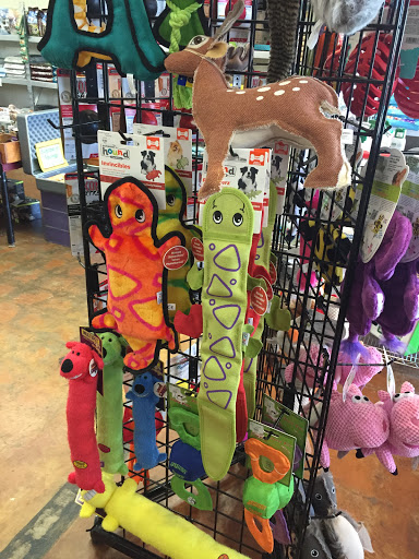 Pet Store «The Honest Dog», reviews and photos, 3032 Arden Way, Sacramento, CA 95825, USA
