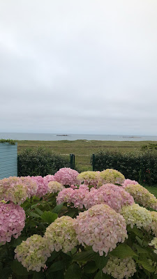 La Maison de la Cote à Plouguerneau