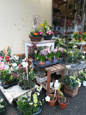 Fleurs Fries à Saint-Louis