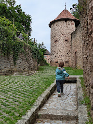 Photo n°12 de Ribeauville à Ribeauvillé ()