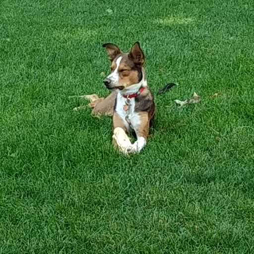 Park «Observatory Park», reviews and photos, 2100 S Fillmore St, Denver, CO 80210, USA