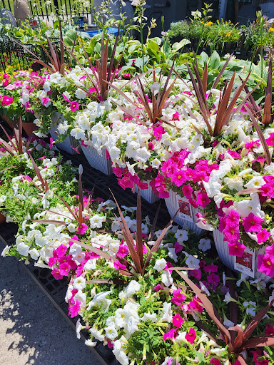 Department Store «Walmart Supercenter», reviews and photos, 2251 IN-54, Linton, IN 47441, USA