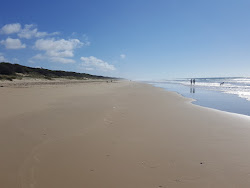 Photo de Reeves Beach avec un niveau de propreté de très propre