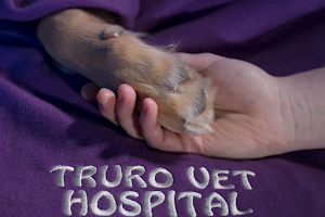 Truro Veterinary Hospital image
