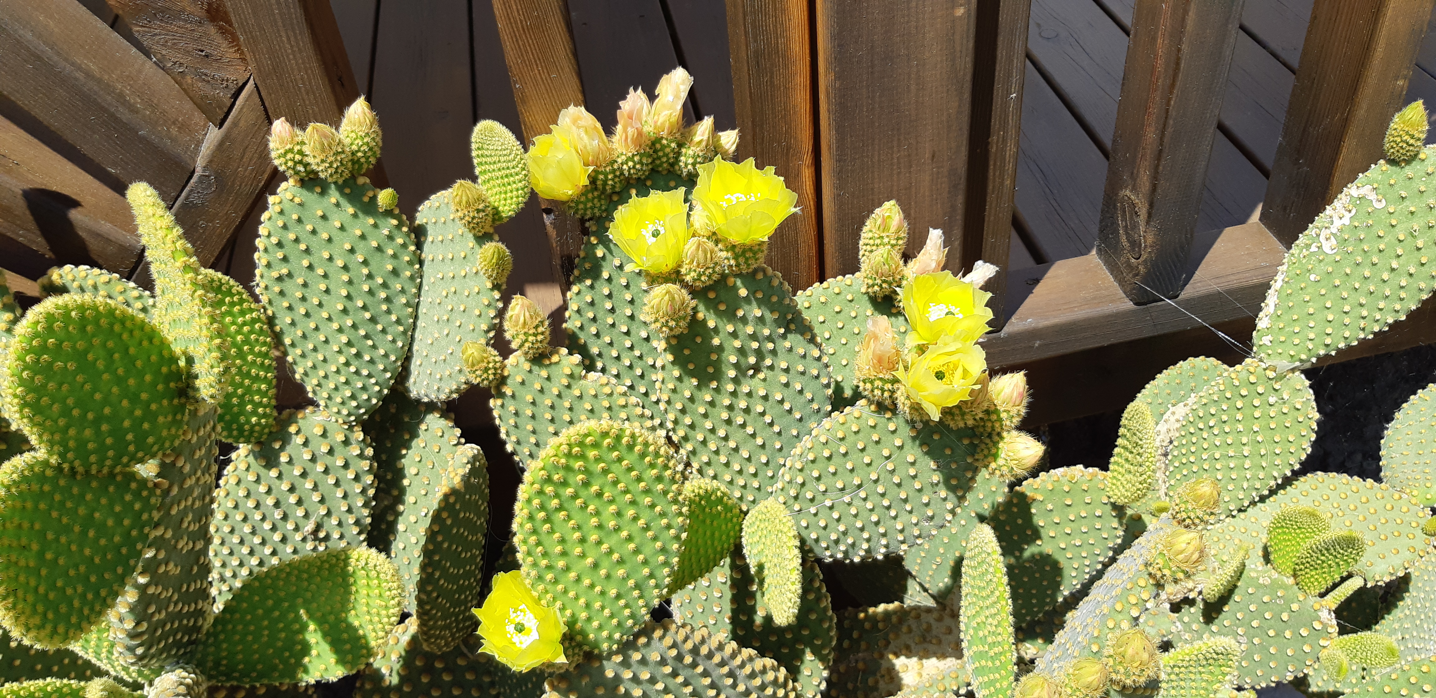 Photo n° 1 de l'avis de Helene.r fait le 16/06/2019 à 13:27