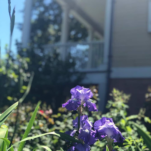 National Park «Hamilton Grange National Memorial», reviews and photos, 414 W 141st St, New York, NY 10031, USA