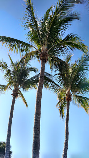 Tattoo Shop «Times Square Tattoo», reviews and photos, 959 Estero Blvd, Fort Myers Beach, FL 33931, USA