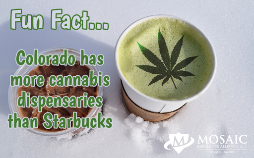 Insurance Agency «Mosaic Insurance Alliance LLC», reviews and photos