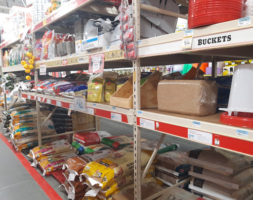 Home Improvement Store «Tractor Supply Co.», reviews and photos, 8447 FL-54, New Port Richey, FL 34655, USA
