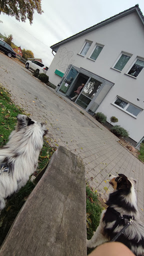 Groß- & Kleintierpraxis Dr. med. vet. Toralf Siefke unter Zirkow, Mecklenburg-Vorpommern