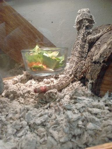 Pet Supply Store «College Greens Pet Center», reviews and photos, 3311 Julliard Dr # A, Sacramento, CA 95826, USA