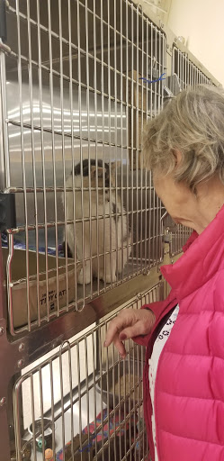 Pet Supply Store «PetSmart», reviews and photos, 1630 13th Ave E, West Fargo, ND 58078, USA