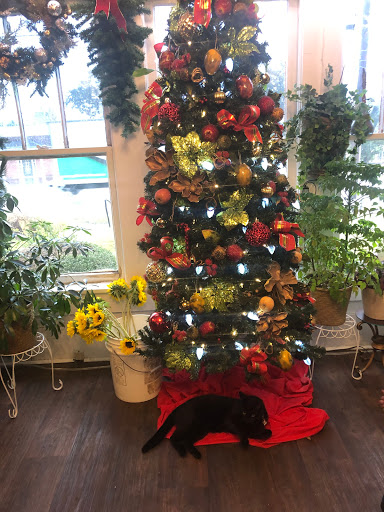 Florist «The Daisy Fair Flowers», reviews and photos, 1400 4th Ave, Conway, SC 29526, USA