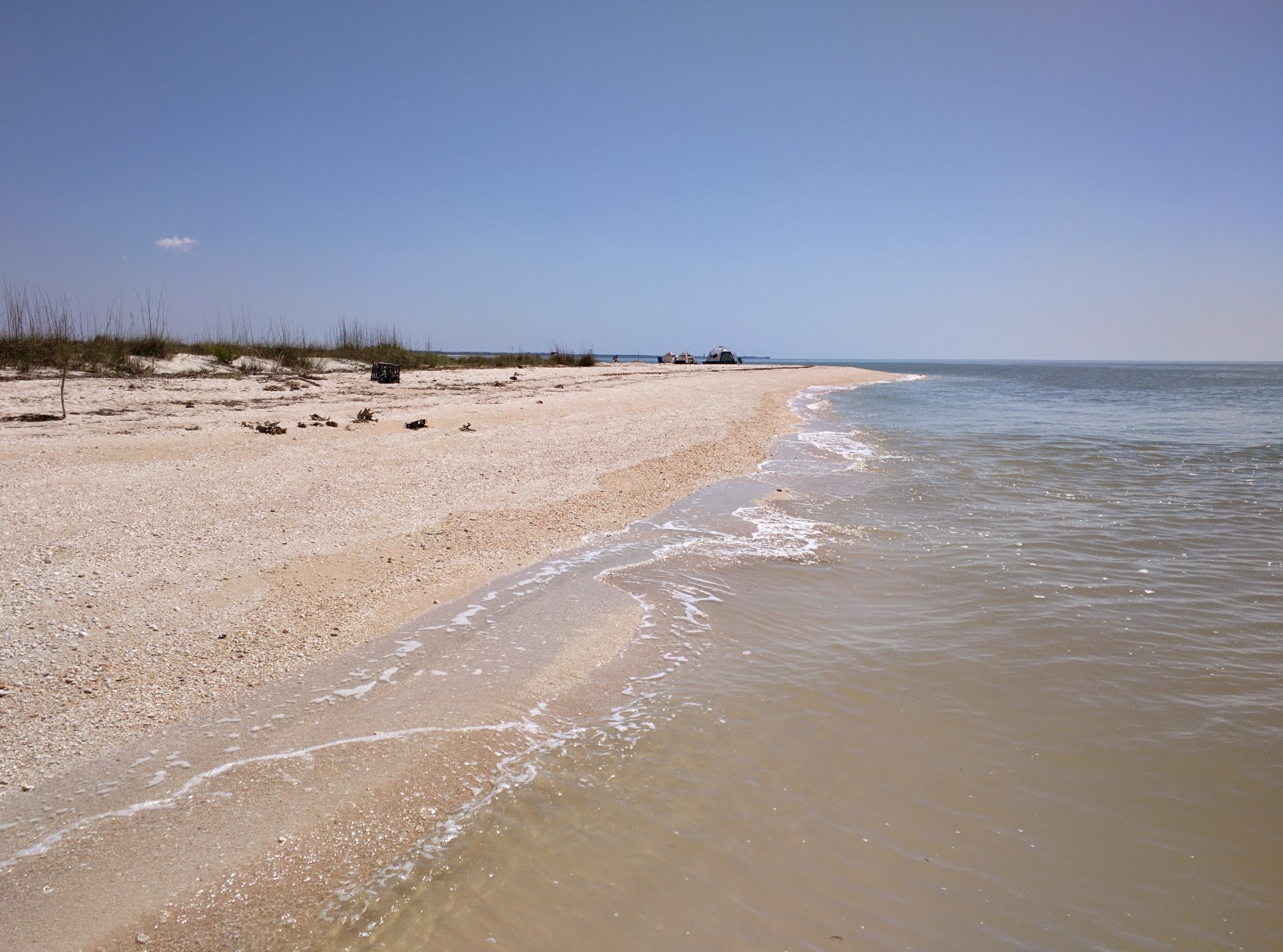 Middle Cape beach的照片 带有碧绿色水表面