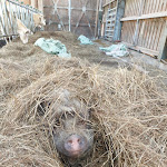 Photo n°3 de l'avis de Karol.o fait le 28/01/2024 à 20:04 sur le  Schultenhof - Balve à Balve