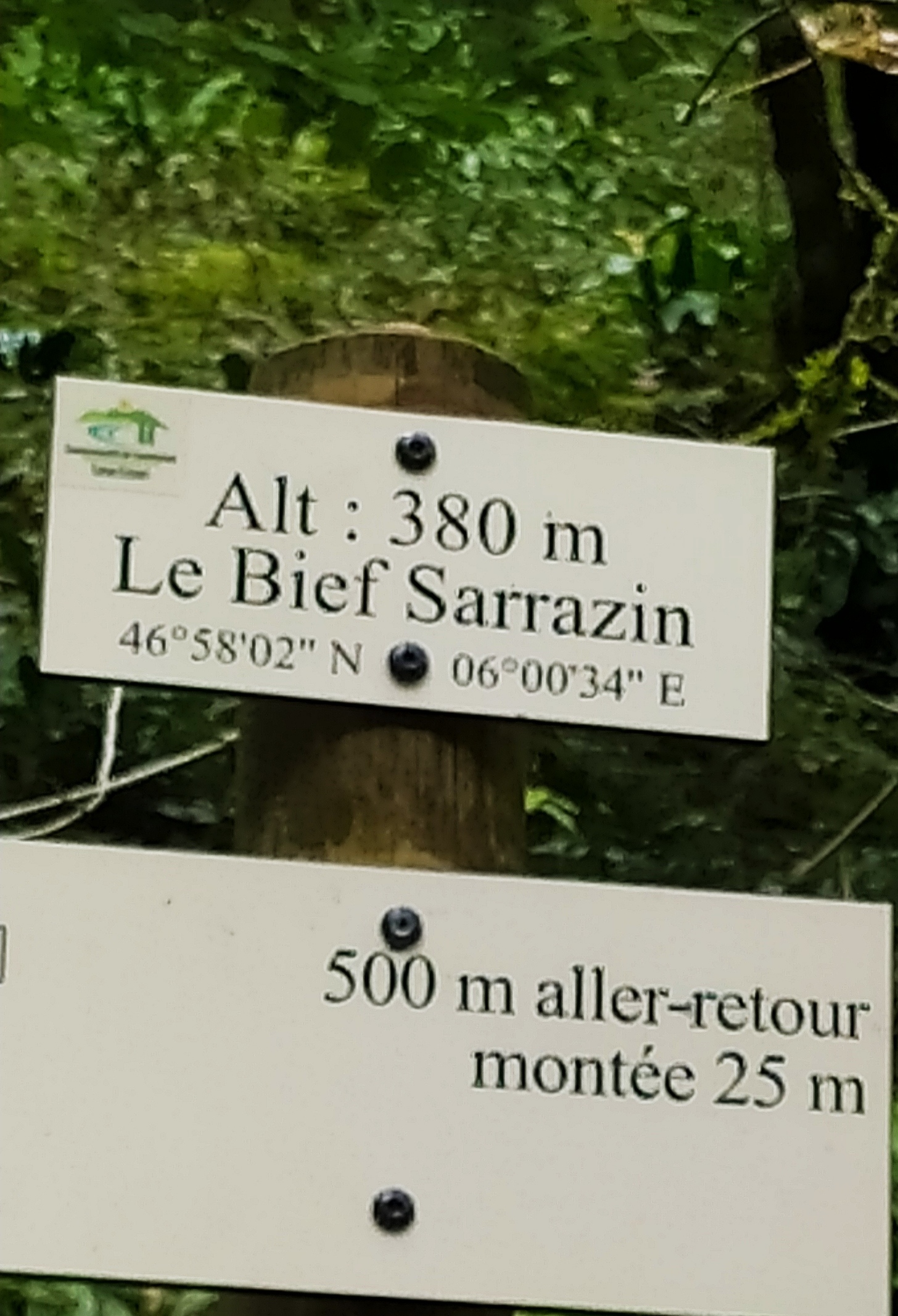 Photo n° 8 de l'avis de Véronique.I fait le 23/08/2021 à 17:46