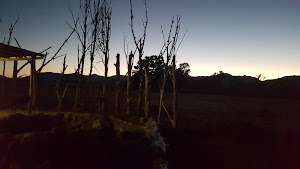 Suntsani - photo 1