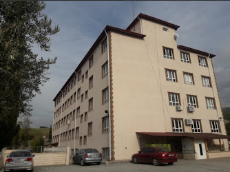 Nenehatun İmam Hatip Ortaokulu