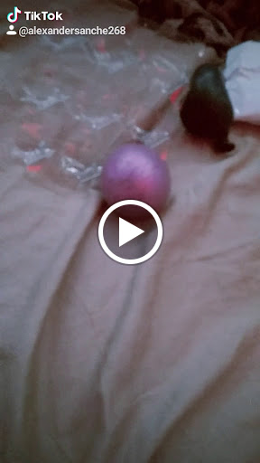 Toy Store «Kidstop», reviews and photos, 6990 E Shea Blvd #103, Scottsdale, AZ 85254, USA