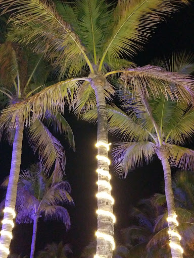 Tattoo Shop «Times Square Tattoo», reviews and photos, 959 Estero Blvd, Fort Myers Beach, FL 33931, USA