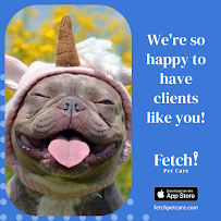 Fetch! Pet Care North San Antonio - Photo 6 - Car repair in , San Antonio