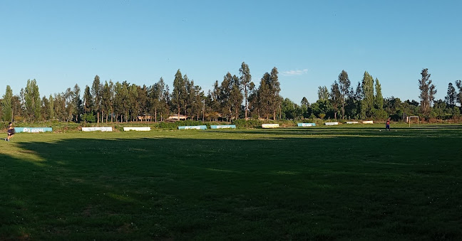 Opiniones de Club Deportivo Union Puertas Negras en Talca - Campo de fútbol