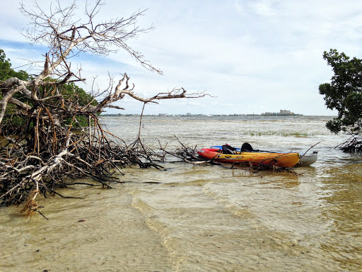 Nature Preserve «San Carlos Bay - Bunche Beach Preserve», reviews and photos, 18201 John Morris Rd, Fort Myers, FL 33908, USA