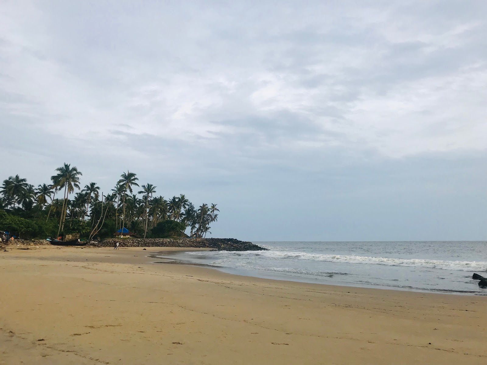 Fotografija Thattukadavu Beach in naselje