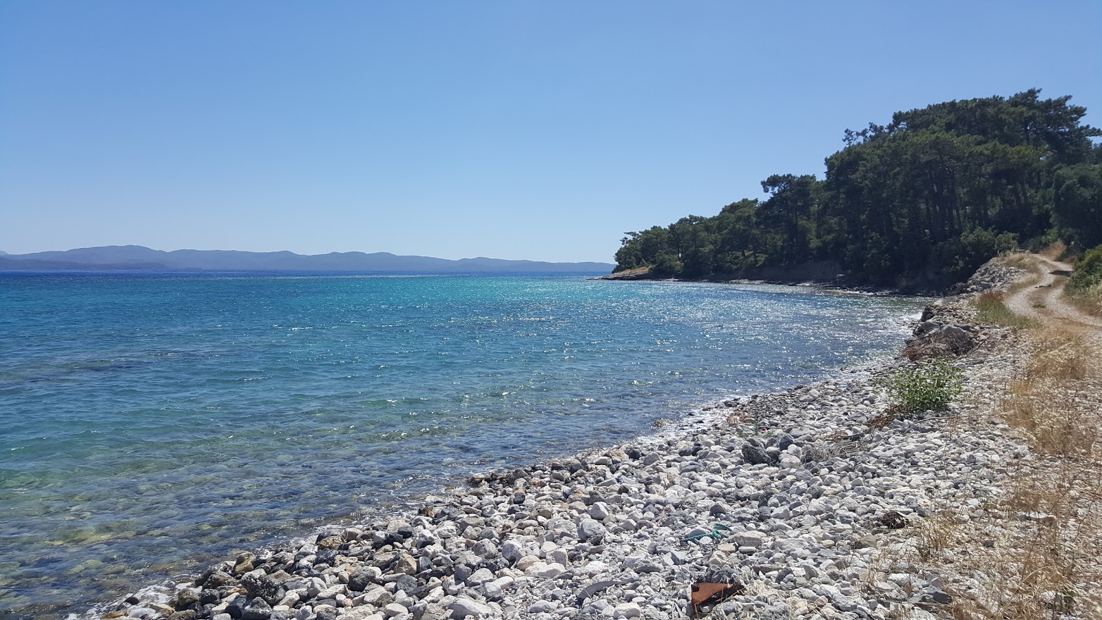 Turnalı Sahil'in fotoğrafı biraz temiz temizlik seviyesi ile