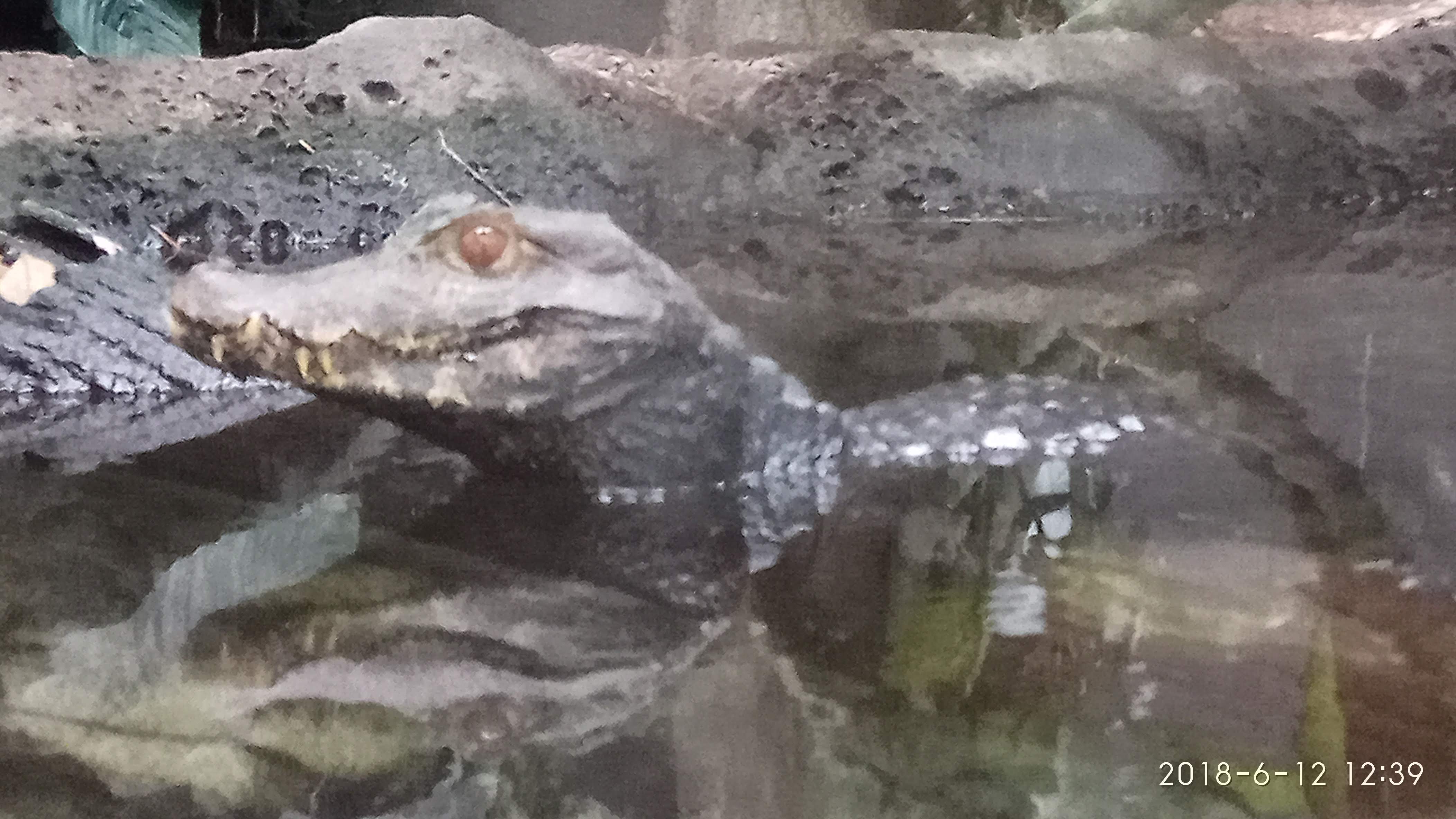 Photo n° 31 de l'avis de Swiss.e fait le 15/06/2018 à 19:24