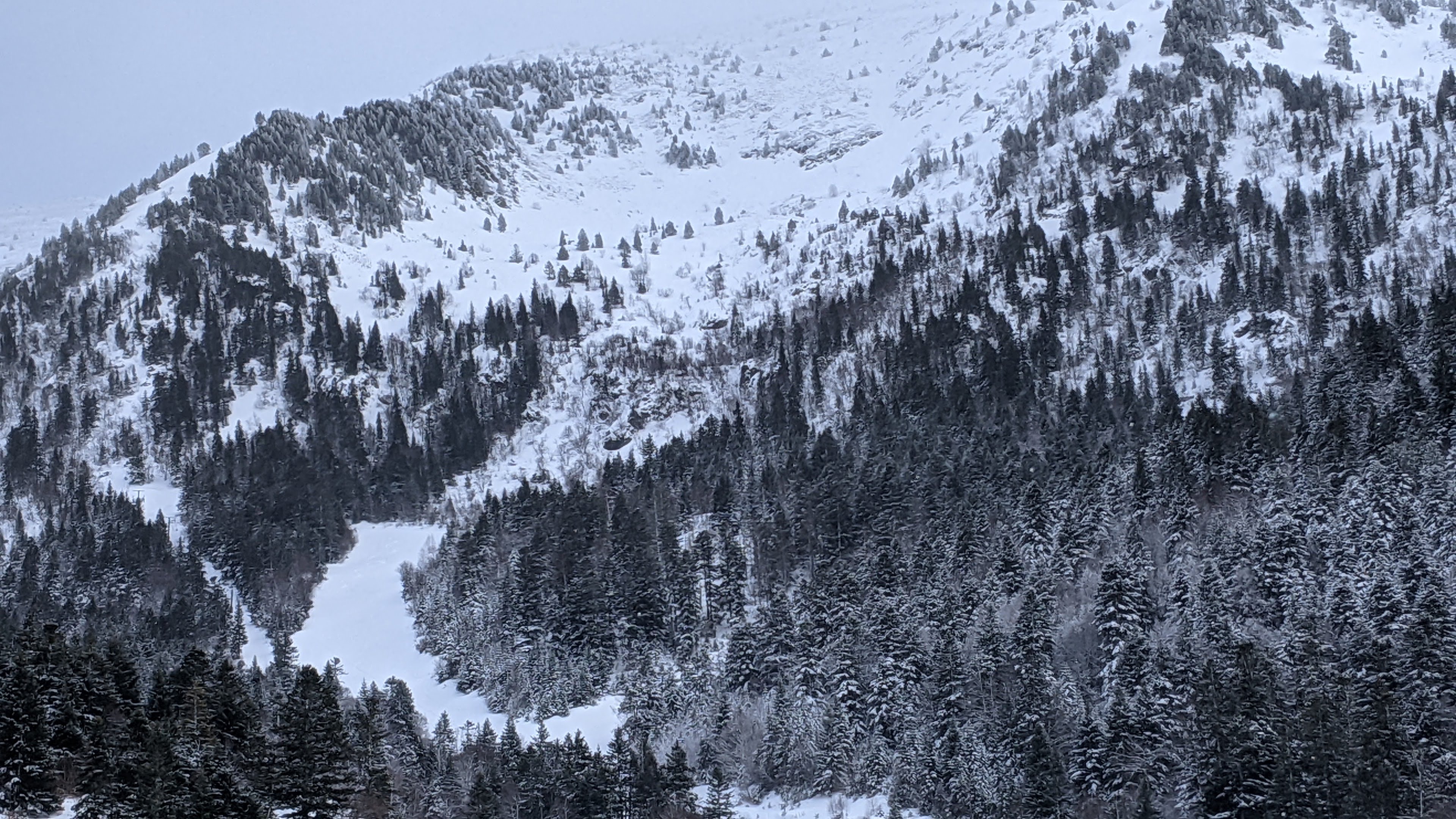 Photo n° 1 de l'avis de Sylvain.u fait le 24/01/2021 à 20:17