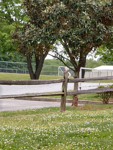 Park «Butler Springs Park», reviews and photos, 301 Butler Springs Rd, Greenville, SC 29615, USA