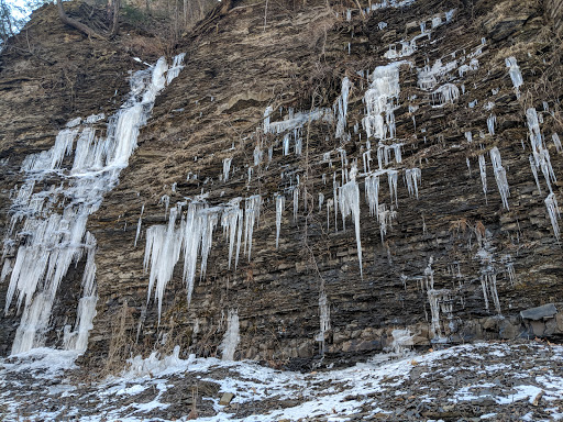 Nature Preserve «Ithaca Falls Natural Area», reviews and photos, Lake St, Ithaca, NY 14850, USA