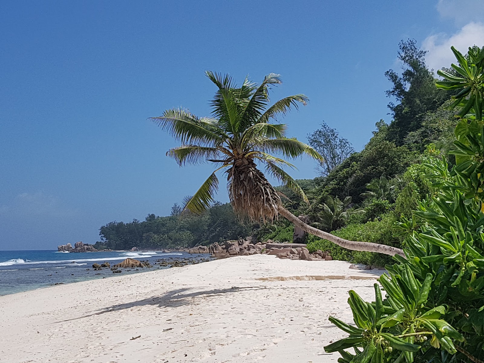 Foto von Anse Fourmis Beach mit geräumiger strand