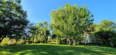 Chez Sophie à Sagy