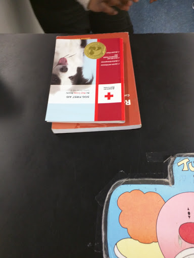 Thrift Store «CHKD Thrift Store», reviews and photos