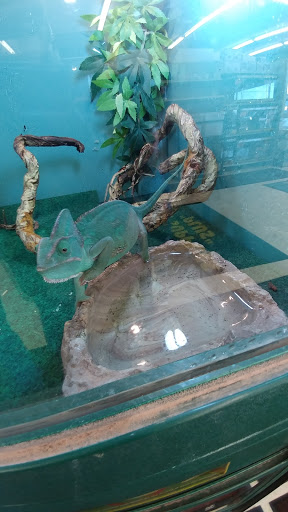 Pet Supply Store «Pet Supplies Plus», reviews and photos, 508 E Stroop Rd, Kettering, OH 45429, USA