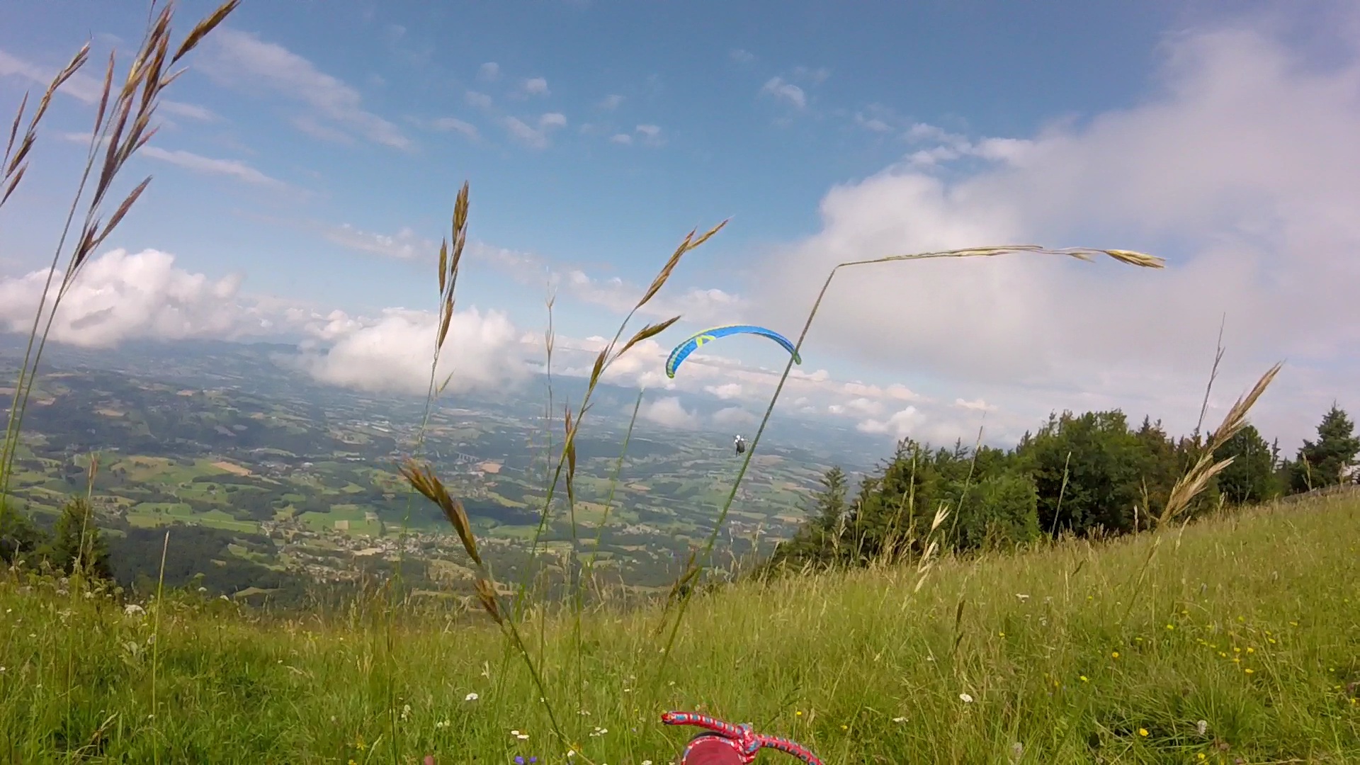Photo n° 6 de l'avis de Luigi.r fait le 30/07/2021 à 20:36