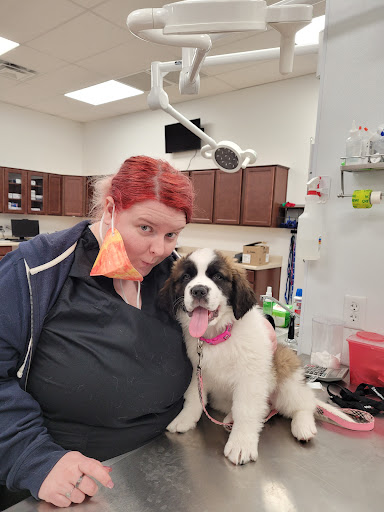 Pet Supply Store «Pet Club Cave Creek», reviews and photos, 4725 E Carefree Hwy, Cave Creek, AZ 85331, USA