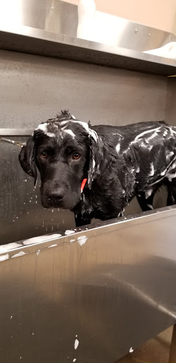 Pet Supply Store «Lemos Feed & Pet Supply», reviews and photos, 1320 Main St, Morro Bay, CA 93442, USA